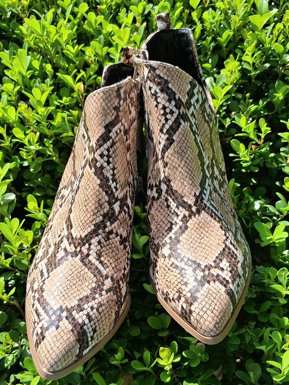 Qupid Taupe Brown Snakeskin Pointed Ankle Booties